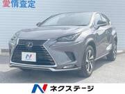 2020 LEXUS NX
