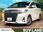 2019 TOYOTA ALPHARD 2.5G