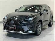 2018 LEXUS NX