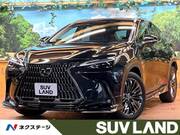 2021 LEXUS NX