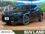 2021 LEXUS UX