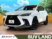 2024 LEXUS NX