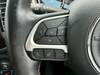 CHRYSLER JEEP COMPASS