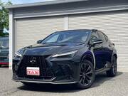 2024 LEXUS NX