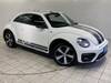 VOLKSWAGEN THE BEETLE