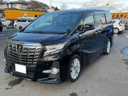 2016 TOYOTA ALPHARD 2.5S