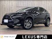 2016 LEXUS NX