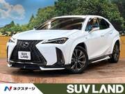 2019 LEXUS UX