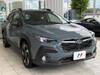 SUBARU OTHER