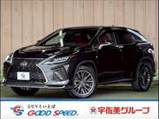 2021 LEXUS RX