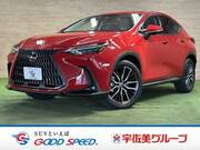 2021 LEXUS NX
