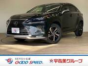 2020 LEXUS NX