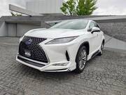 2019 LEXUS RX