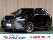 2023 LEXUS RX