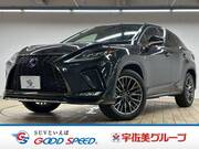 2020 LEXUS RX