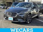 2019 MAZDA CX-3