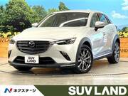 2019 MAZDA CX-3