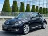 VOLKSWAGEN THE BEETLE