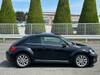 VOLKSWAGEN THE BEETLE