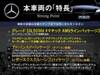 MERCEDES BENZ OTHER