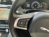 JAGUAR OTHER