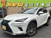 2019 LEXUS NX