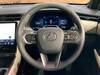 LEXUS OTHER