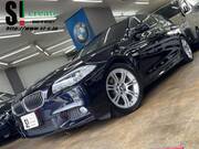 2013 BMW 5 SERIES