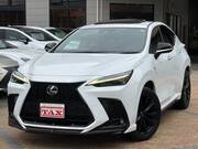 2022 LEXUS NX