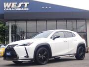 2021 LEXUS UX