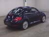 VOLKSWAGEN THE BEETLE