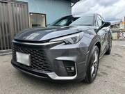 2024 LEXUS OTHER