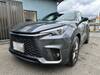 LEXUS OTHER