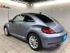 VOLKSWAGEN THE BEETLE