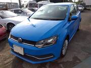 2016 OTHER POLO