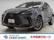 2022 LEXUS NX
