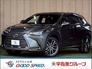 2024 LEXUS NX