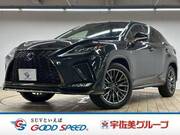 2020 LEXUS RX