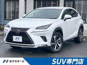 2018 LEXUS NX