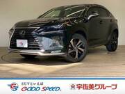 2020 LEXUS NX
