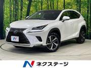2018 LEXUS NX
