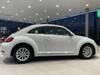 VOLKSWAGEN THE BEETLE