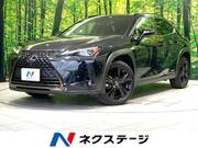 2021 LEXUS UX