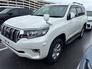 2019 TOYOTA LAND CRUISER PRADO TX