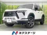 2025 LEXUS OTHER