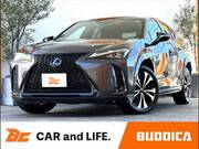 2022 LEXUS UX