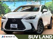 2024 LEXUS NX
