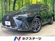2022 LEXUS NX