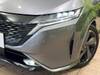 NISSAN OTHER