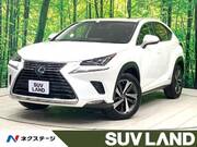 2019 LEXUS NX